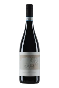 Nebbiolo